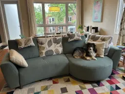 Un sofa qui a du chien