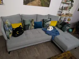 El rey de la casa