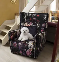 Relax
