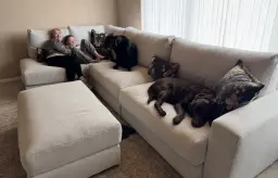 Nanny & granbabies