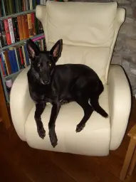 Rosie's Chair
