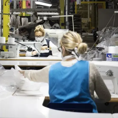 Resurgir como el Ave Fénix