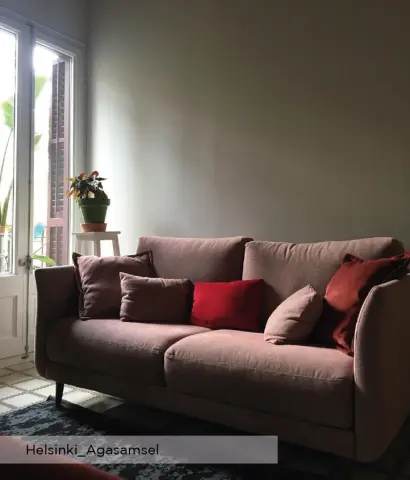 Helsinki agasamsel