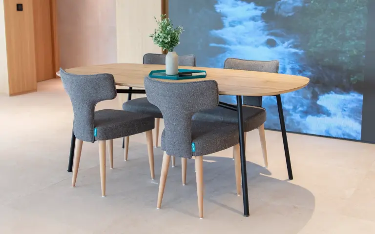 Chaises de salle à manger