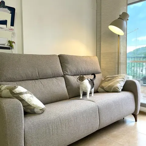 Axel | Famaliving Xativa