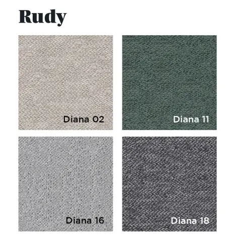 Rudy servicio express 01