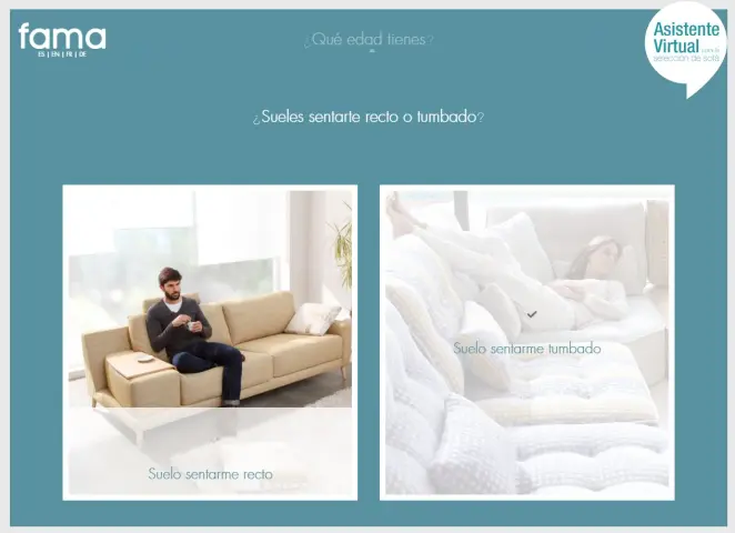 Asistente Virtual para la elección de sofá